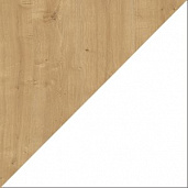 Дуб Гамильтон / Белый / Бук