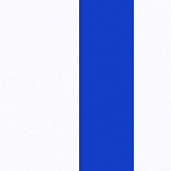 Белый / Синий